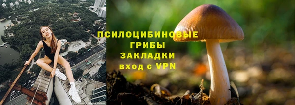 ГАЛЛЮЦИНОГЕННЫЕ ГРИБЫ Арсеньев