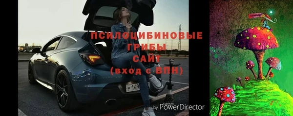 ГАЛЛЮЦИНОГЕННЫЕ ГРИБЫ Арсеньев